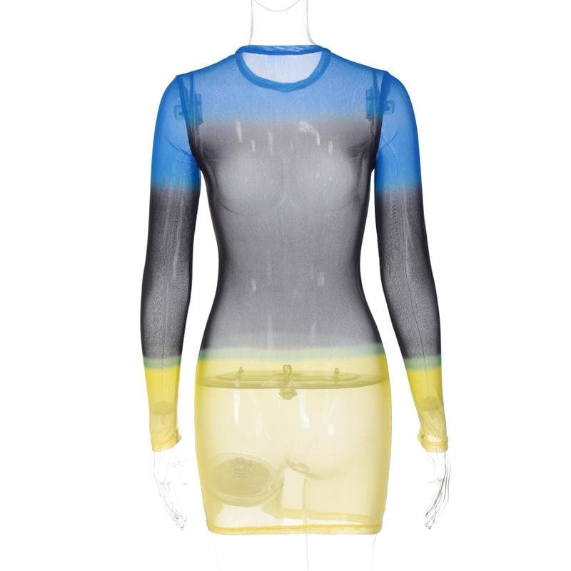 Contrast Sheer Mesh Colorblock Crew Neck Long Sleeve Mini Dress