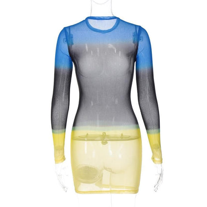 Contrast Sheer Mesh Colorblock Crew Neck Long Sleeve Mini Dress