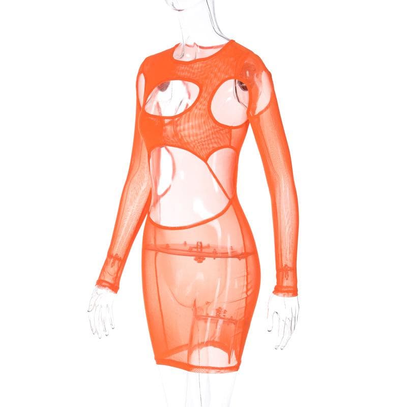 Hollow Out Sheer Mesh High Neck Long Sleeve Cutout Mini Dress
