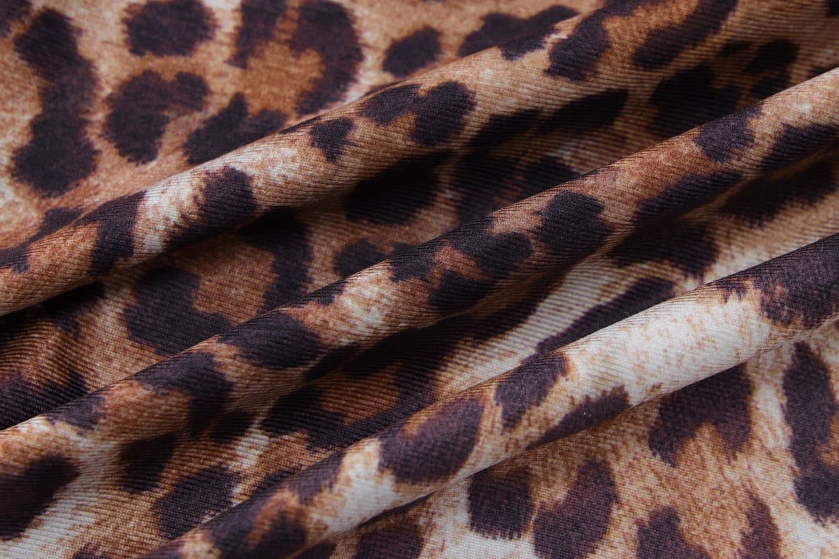 Long sleeve leopard print button pant set