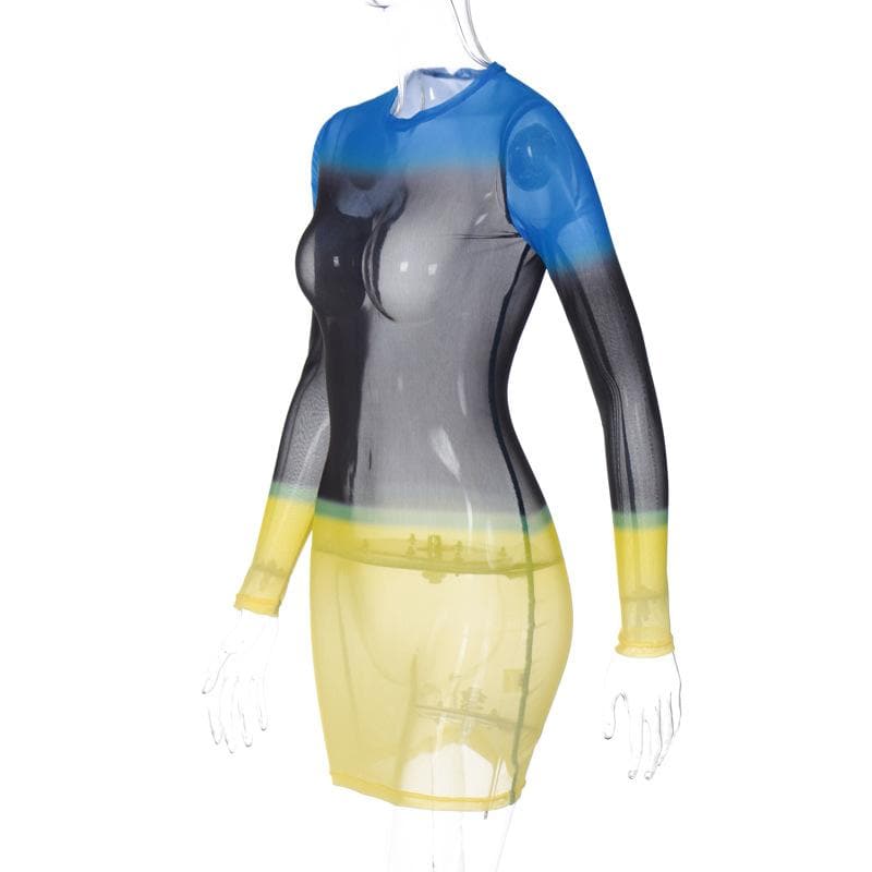 Contrast Sheer Mesh Colorblock Crew Neck Long Sleeve Mini Dress