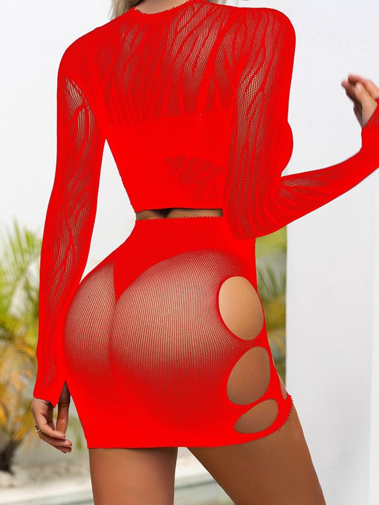 Long sleeve zebra sheer mesh mini skirt set