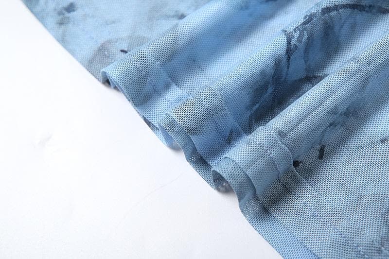 Long sleeve sheer mesh v neck print maxi dress