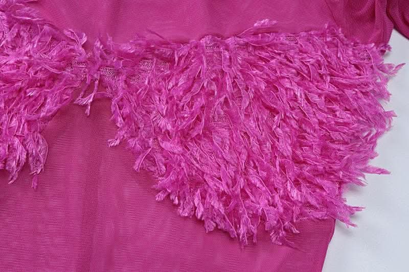 Long sleeve gloves high neck feather mesh see through maxi dress-final-sale