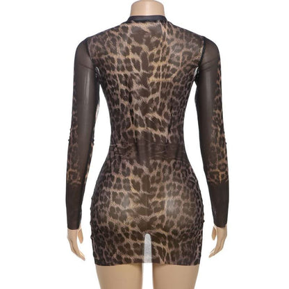 Crewneck long sleeve leopard print mesh mini dress