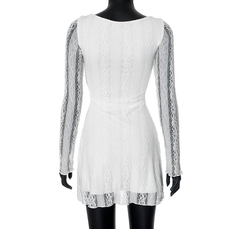 Crewneck long sleeve lace mini dress