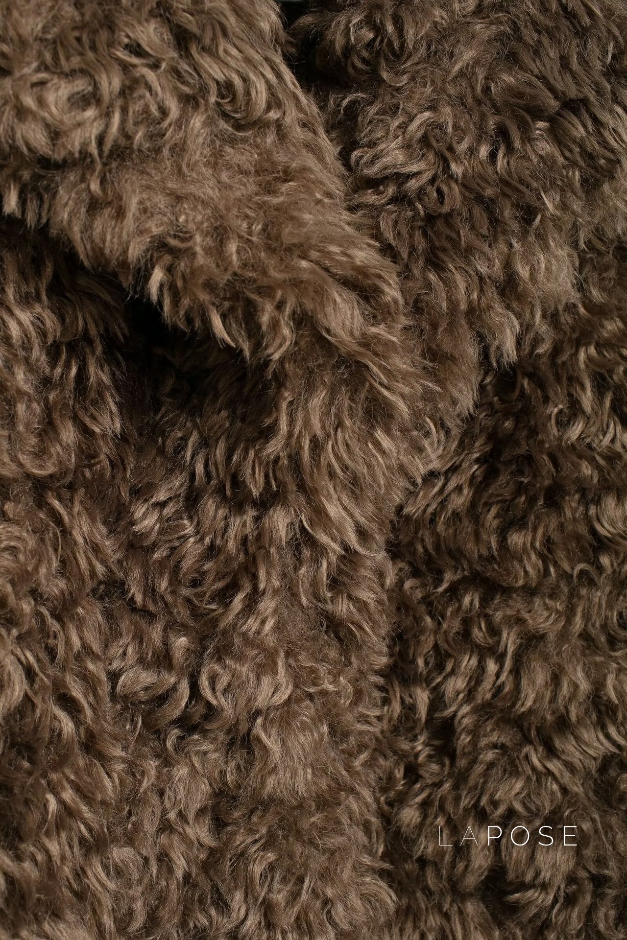 Alexzandria Faux Fur Teddy Coat