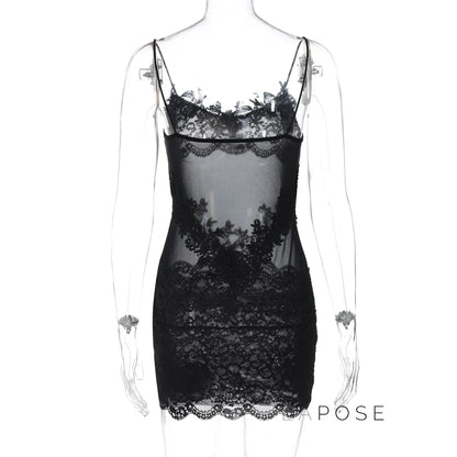 Whitleigh Lace Mesh Mini Dress