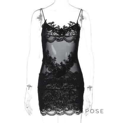 Whitleigh Lace Mesh Mini Dress