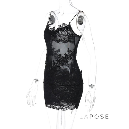 Whitleigh Lace Mesh Mini Dress