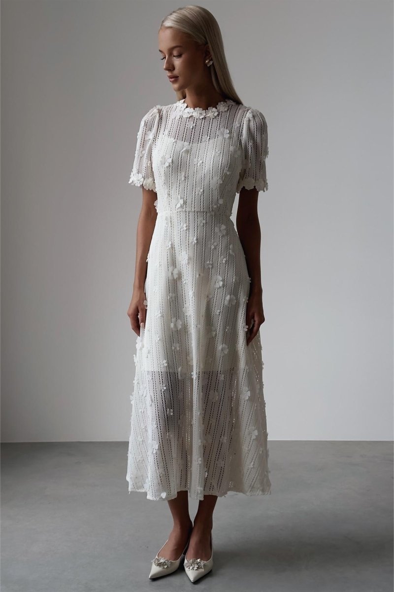 3D Floral Appliqué Pearl Trim Crew Neck Lace Texture Fit and Flare Midi Dress