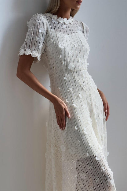 3D Floral Appliqué Pearl Trim Crew Neck Lace Texture Fit and Flare Midi Dress