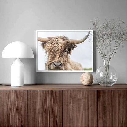 Cattle