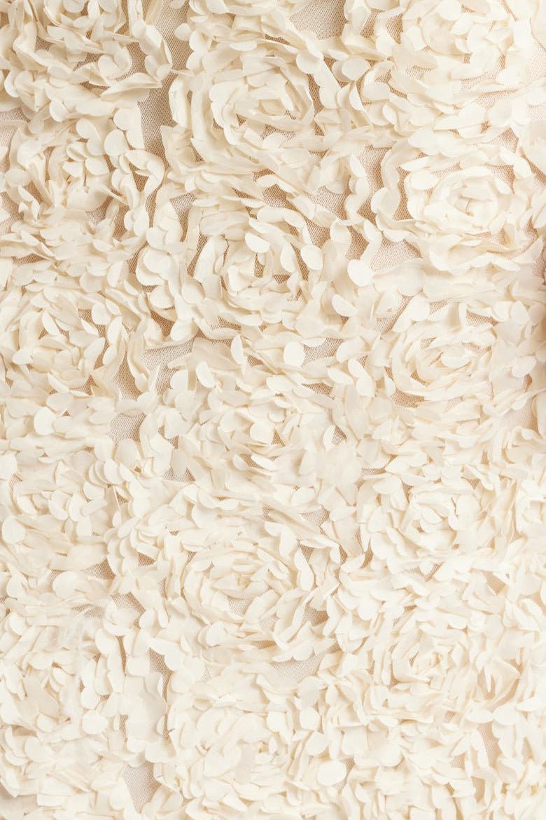 Floral Applique V-neck Maxi Mesh Dress