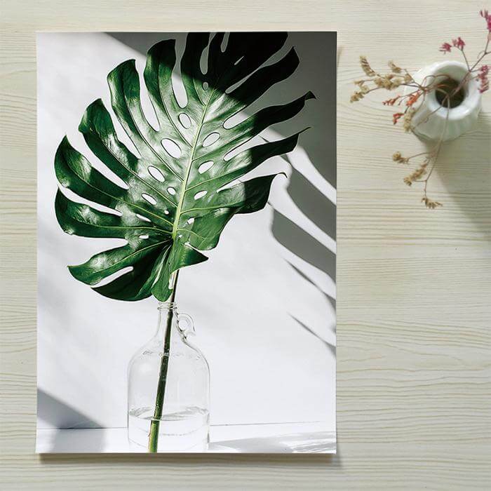 Tropical Leaf