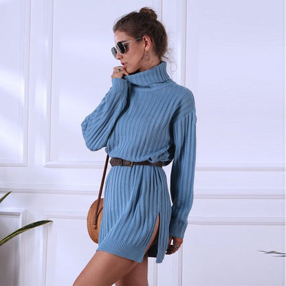 Ribbed Knit Turtleneck Long Sleeve Mini Sweater Dress