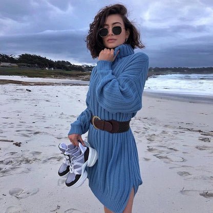 Ribbed Knit Turtleneck Long Sleeve Mini Sweater Dress