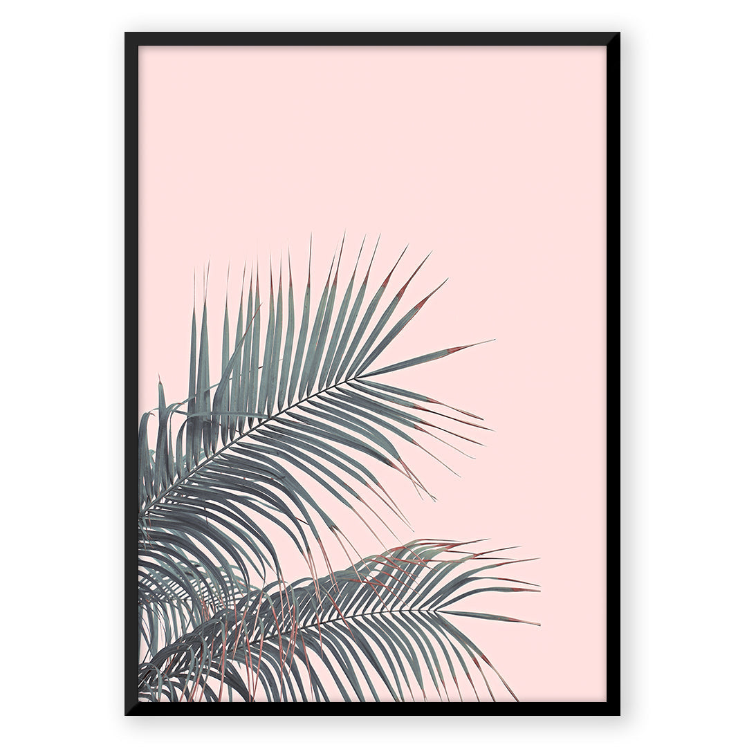 Ocean Breeze