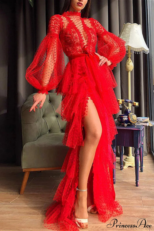 Sheer Mesh Long Sleeve Party Party Dress
