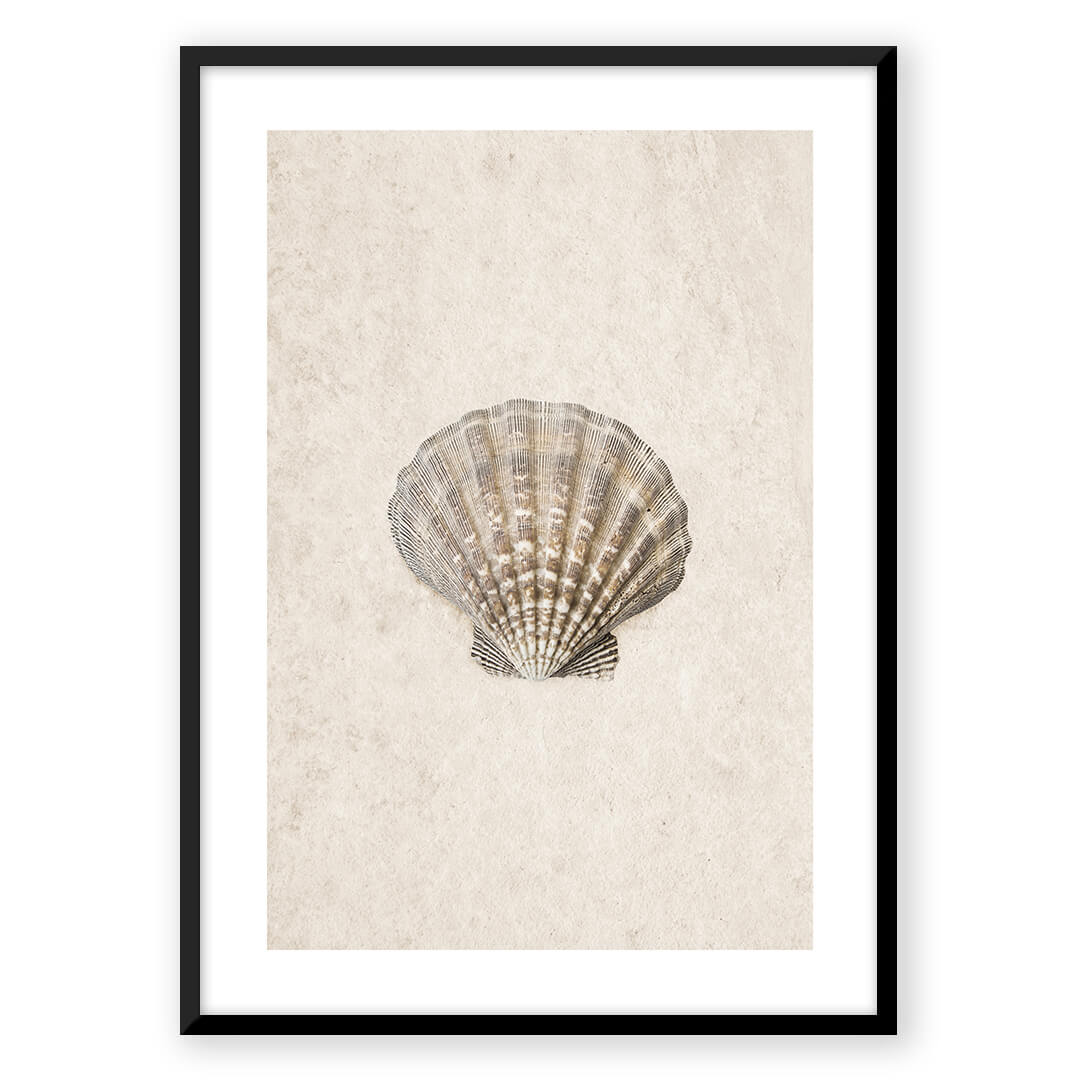 Zen Shells
