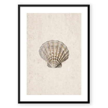 Zen Shells
