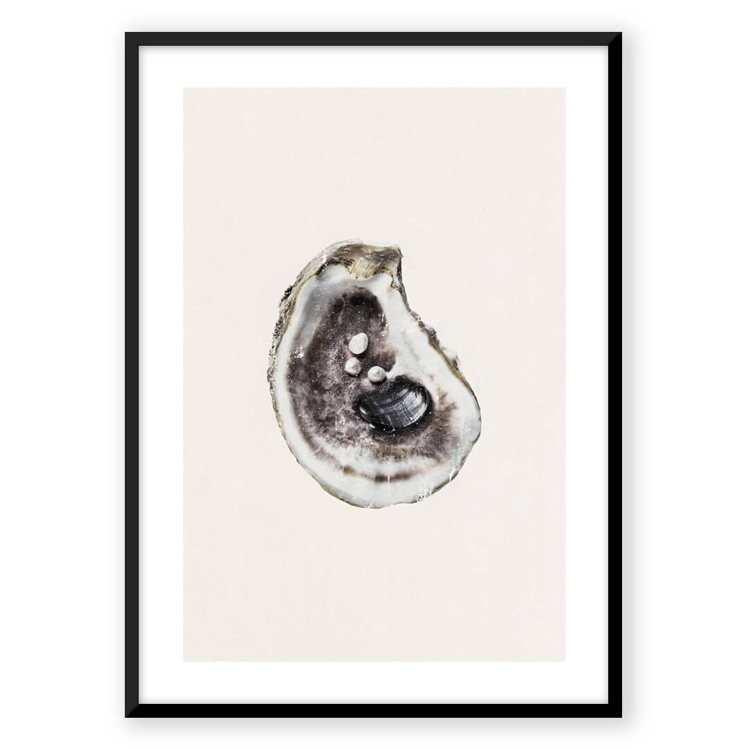 Zen Shells