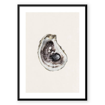 Zen Shells
