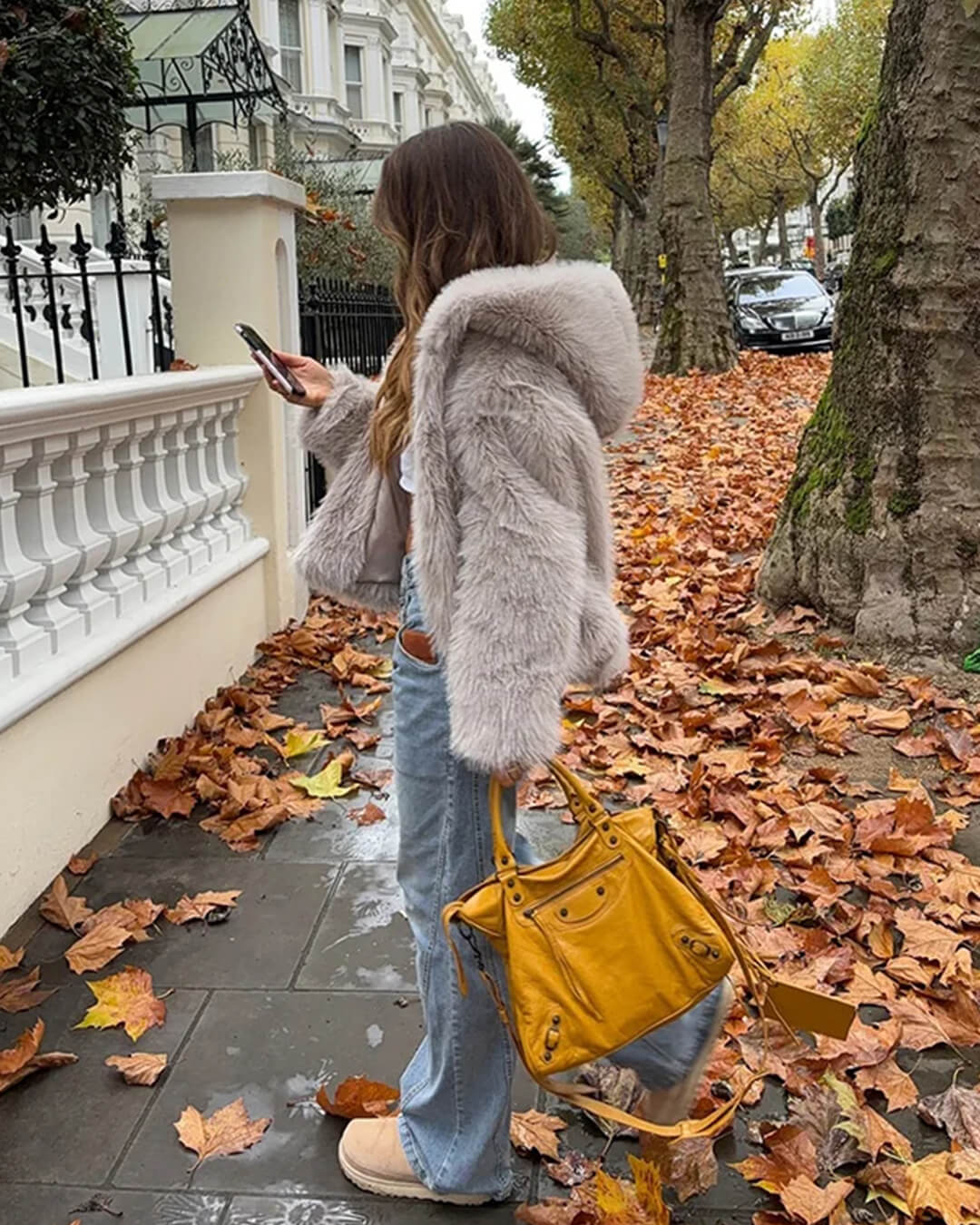 Dana Faux Fur Hooded Jacket