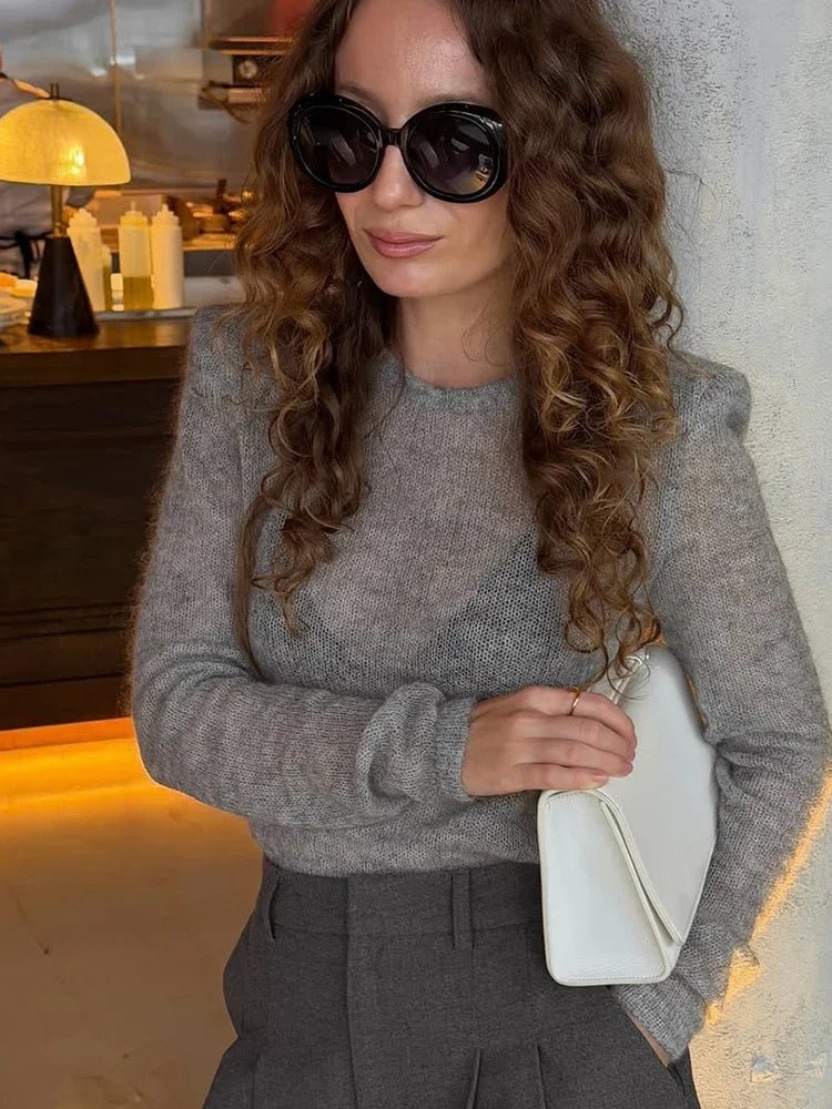 Maricar Slim Fit Sheer Pullover