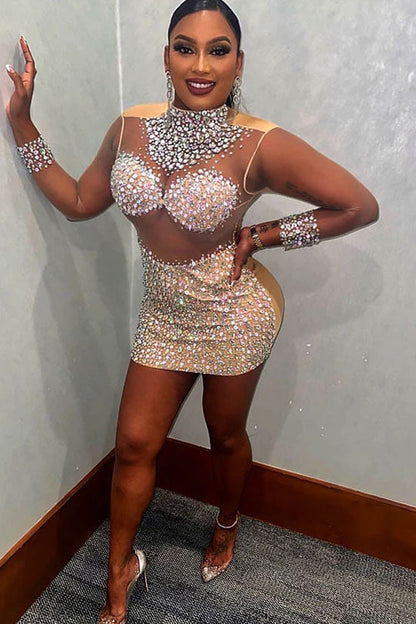 Mock Neck Long Sleeve Rhinestone Panel Sheer Mesh Bodycon Mini Dress
