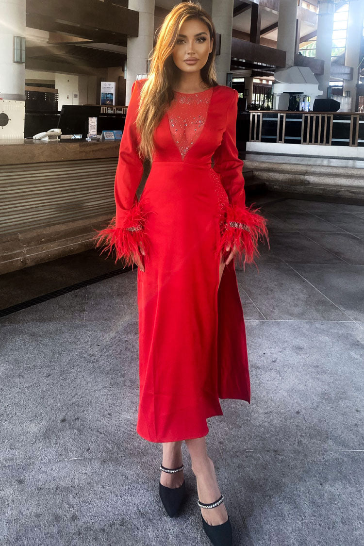 Rhinestone Mesh Illusion Neck Feather Cuff Long Sleeve High Split Maxi Gown