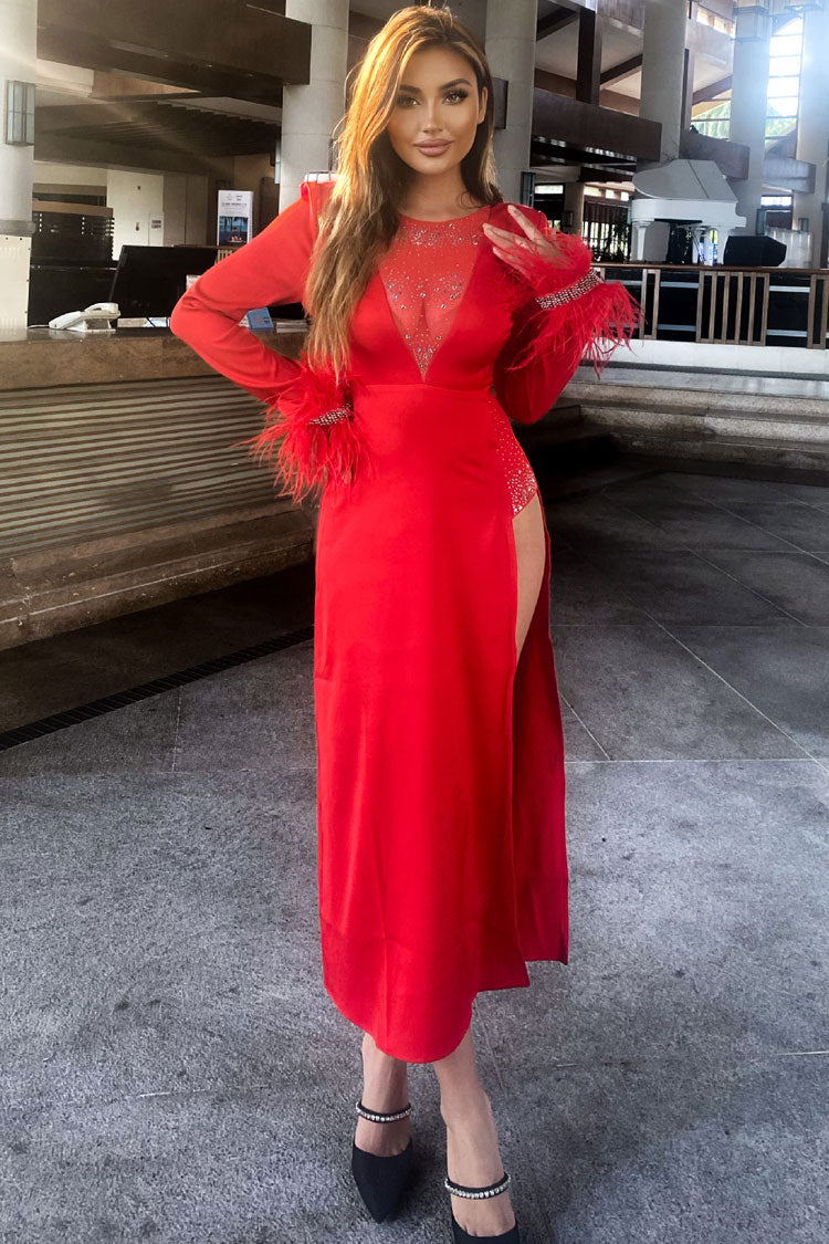 Rhinestone Mesh Illusion Neck Feather Cuff Long Sleeve High Split Maxi Gown