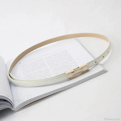 Synonyms: Gothic - medieval, Leather - hide, Pin - peg, Buckle - clasp

PU medieval hide peg clasp Belt