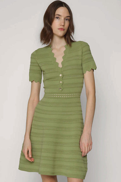 Scalloped V-Neck Henley Button Pointelle Knit Mini Sweater Dress