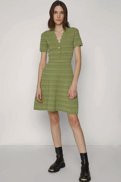 Scalloped V-Neck Henley Button Pointelle Knit Mini Sweater Dress
