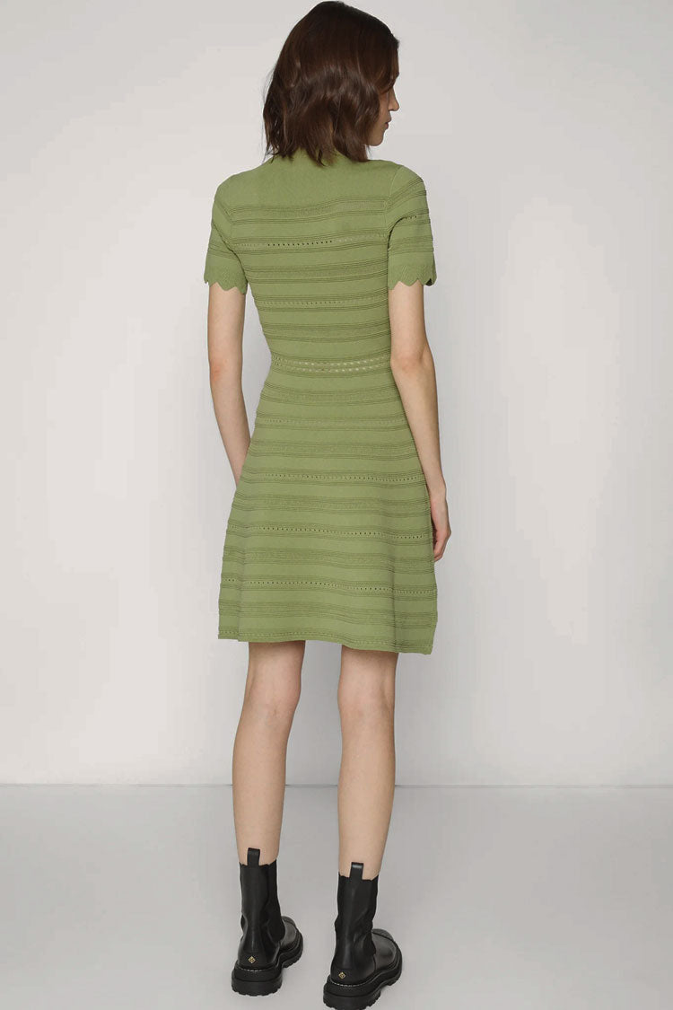Scalloped V-Neck Henley Button Pointelle Knit Mini Sweater Dress